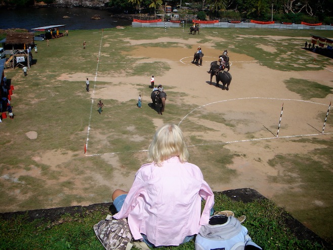 Elephant Polo Seats